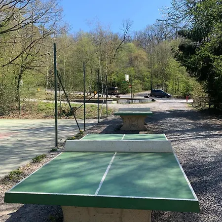 Feriehus Durbuy's Little Mansion